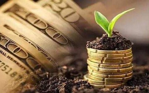 广州服装期货直播