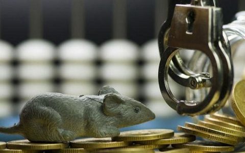 期货直播的猫腻