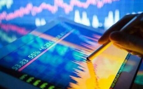 花生期货在线直播间