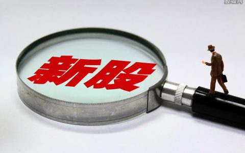 没人直播教期货